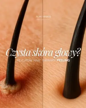 762cc9ca-0ceb-4004-b7a7-e67fb3ae5e55